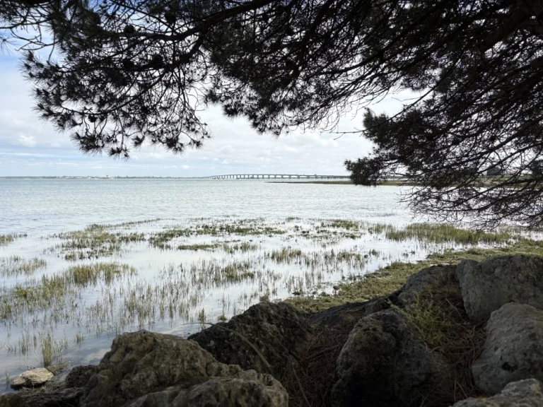 les-tranquilles-d-oleron-location-chambre-d-hote-location-gite-charme-bord-de-mer-article-tour-de-oleron-1